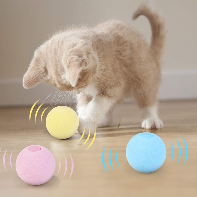 Smart Cat Toys